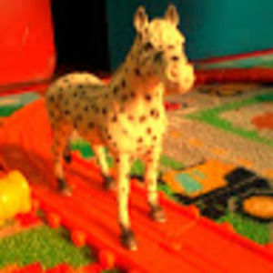 Meet your Posher, Matt